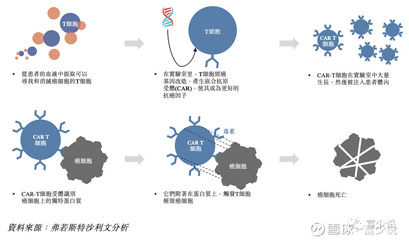 细胞免疫疗法细胞免疫疗法是一种将免疫细胞(主要为t细胞)注入患者以