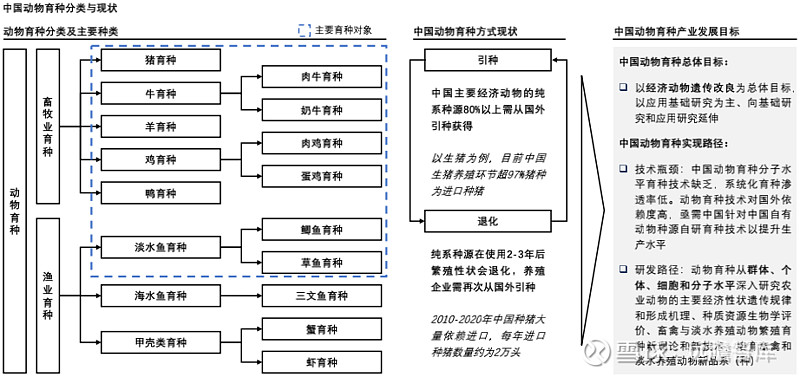 2021年中国动物育种行业概览