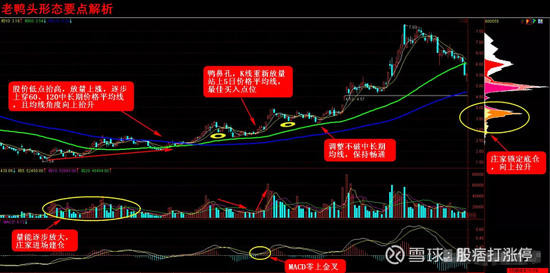 黑马形态是资金(庄股)建仓,控盘,出货的坐庄全过程痕迹