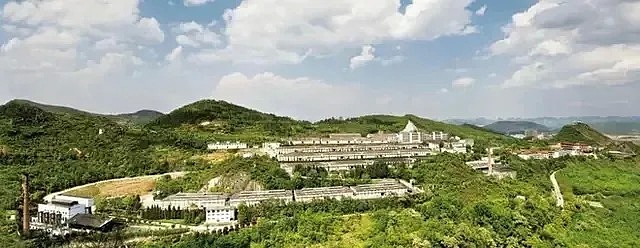 贵州省级评比位居前五贵州醇品牌地位猛进靠什么