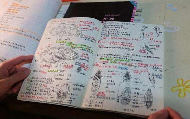 闲鱼上卖爆的学霸笔记,谁买谁上当