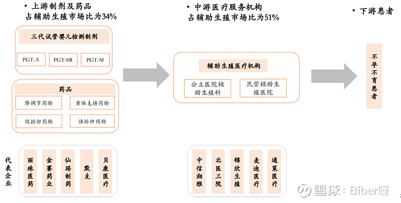 辅助生殖行业产业链浅析