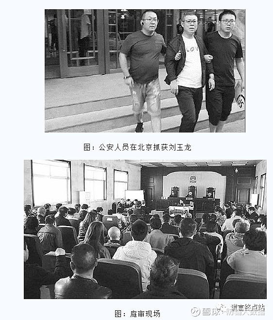 以组织,领导传销活动罪,判处被告人刘玉龙
