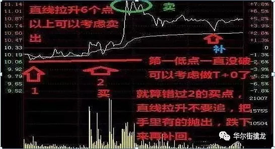 长期持有一只股票,不看股票涨跌,坚持每天做t,10年以后会怎样