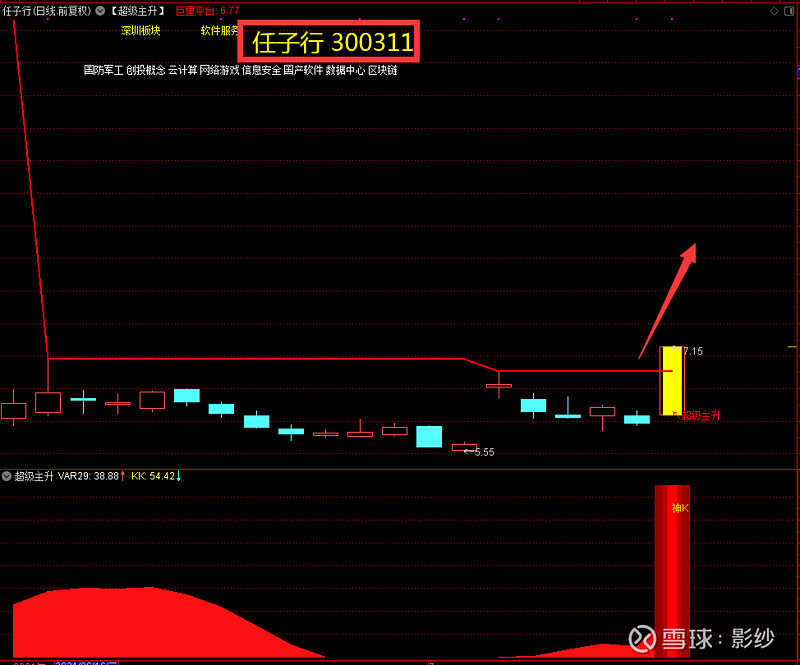 任子行信息安全龙头