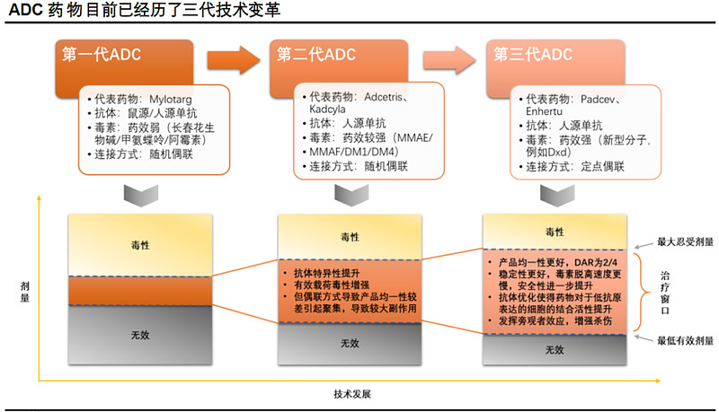 行业前瞻肿瘤新药物adc