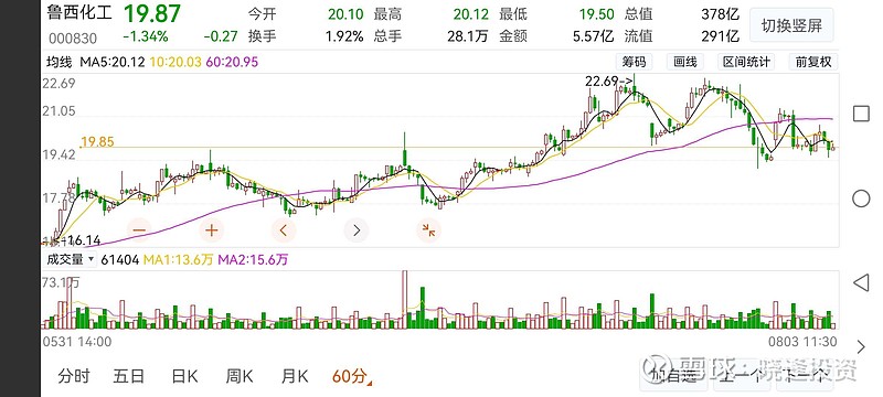 晓逢刀切的鲁西化工