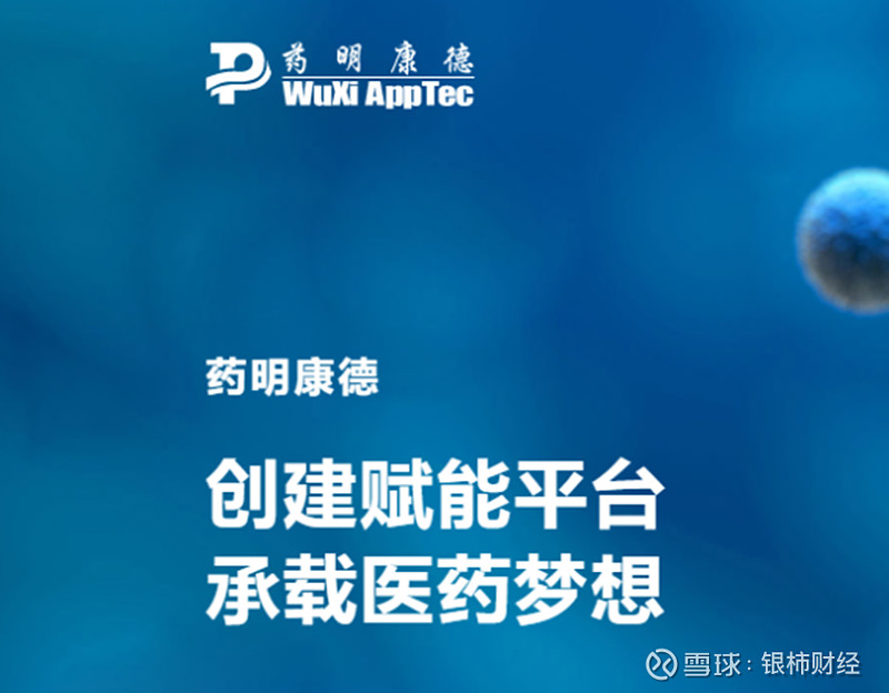 药明康德上半年业绩超预期,cdmo业务收入同比增长超六