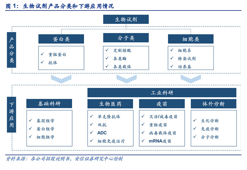 生命科学服务产业链卖水人之从生物试剂进口替代看大国科研创新崛起