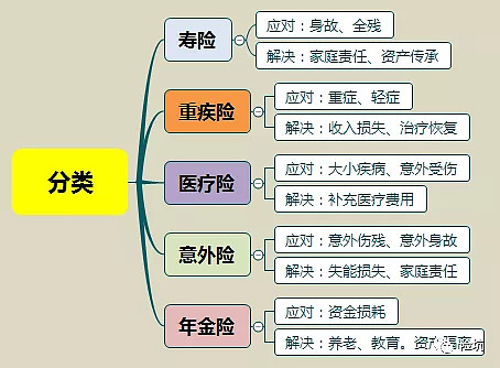 扯淡的艺术裸险半险全险你买了啥谁更适合