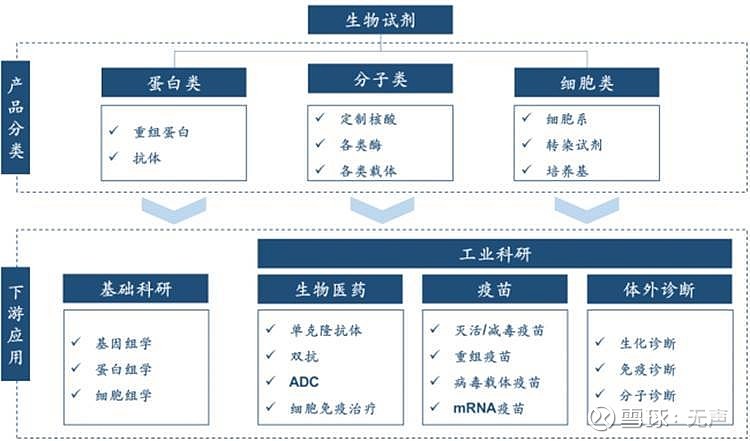生命科学支持产业链简介即服务于生命科学研究及其产业化(如生物制药
