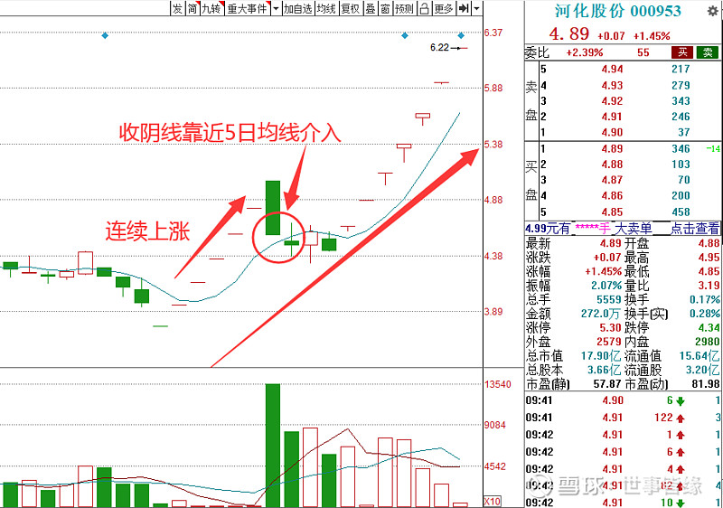 案例三:河化股份(000953)