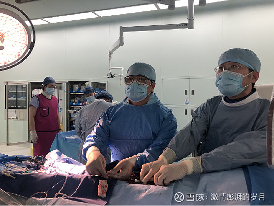 信立泰(sz002294 上海德达医院成功完成上海首例椎动脉药物洗脱支架