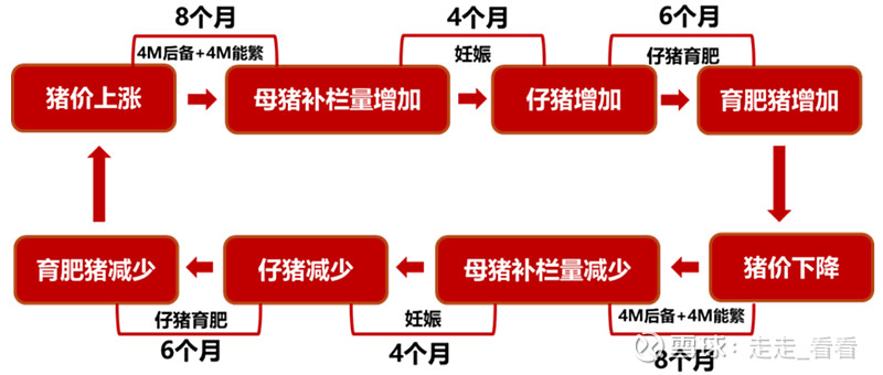 农户出现亏损→农户收缩生产,减少母猪补栏量→仔猪减少,育肥