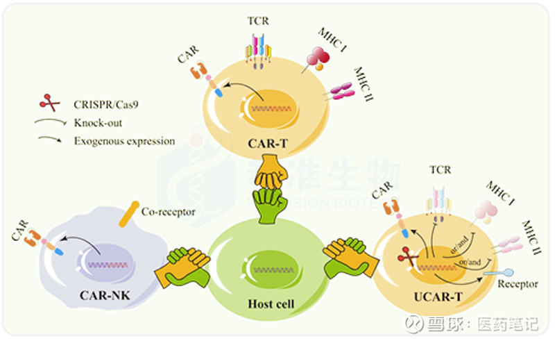 Cd Car Nk Armstrong Clinicaltrials