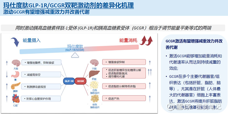 信达生物GLP 1R GCGR治疗48周减重17 8公斤 Armstrong 2023年10月30日 信达生物 公布GLP 1R GCGR