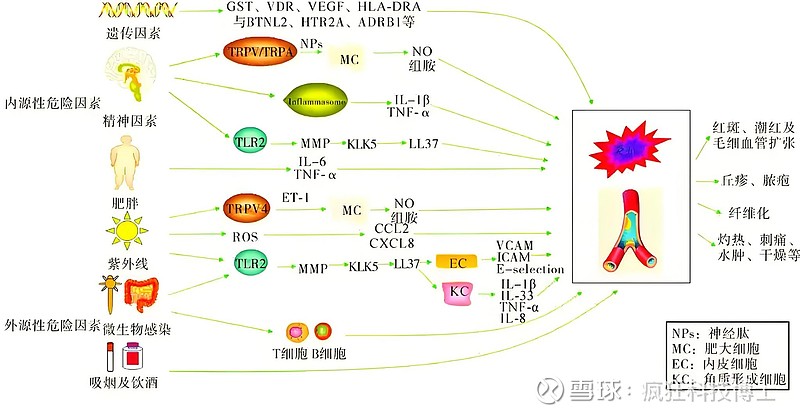 泰恩康：儿童白癜风治疗市场预计规模可观