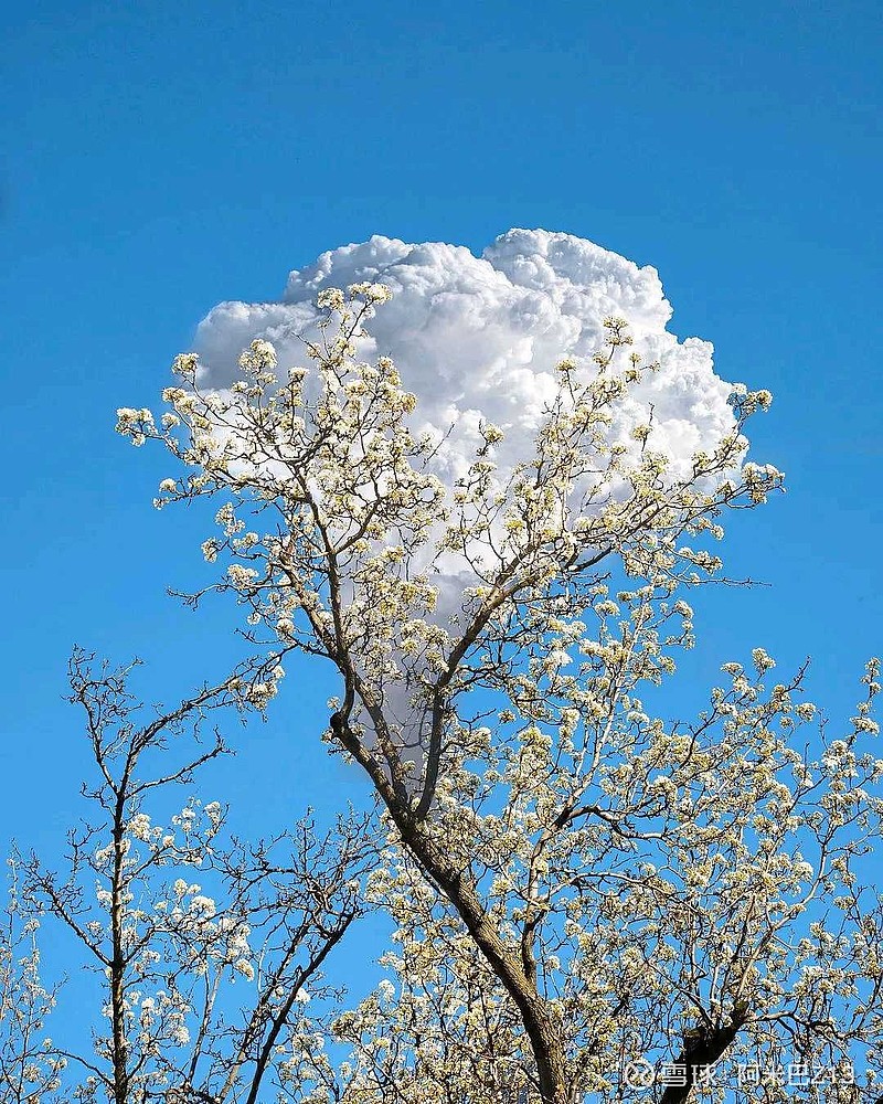 1881个城市命运即将变迁！限