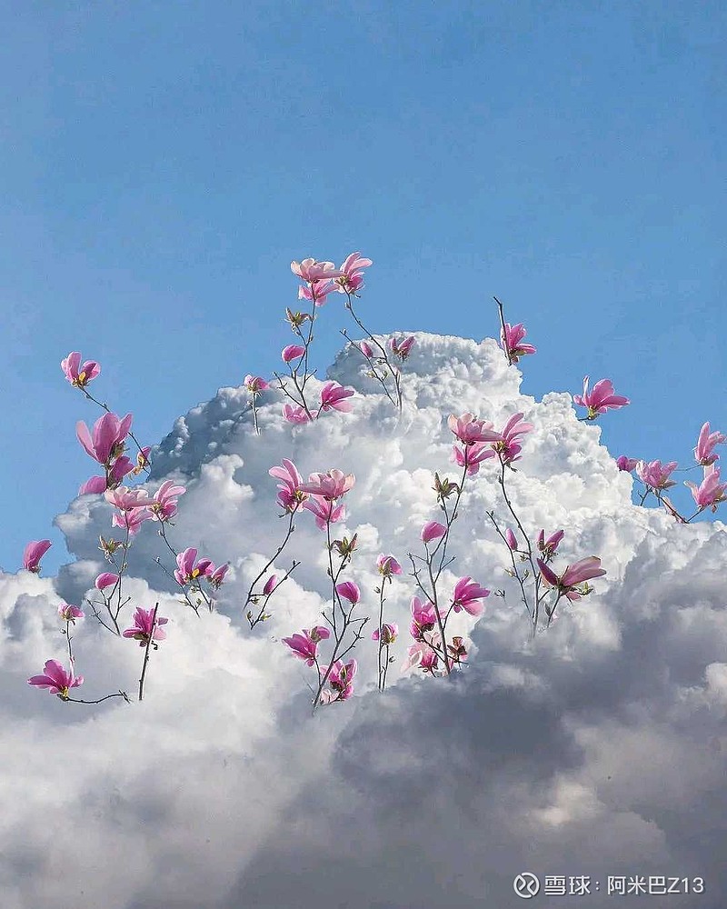 1881个城市命运即将变迁！限