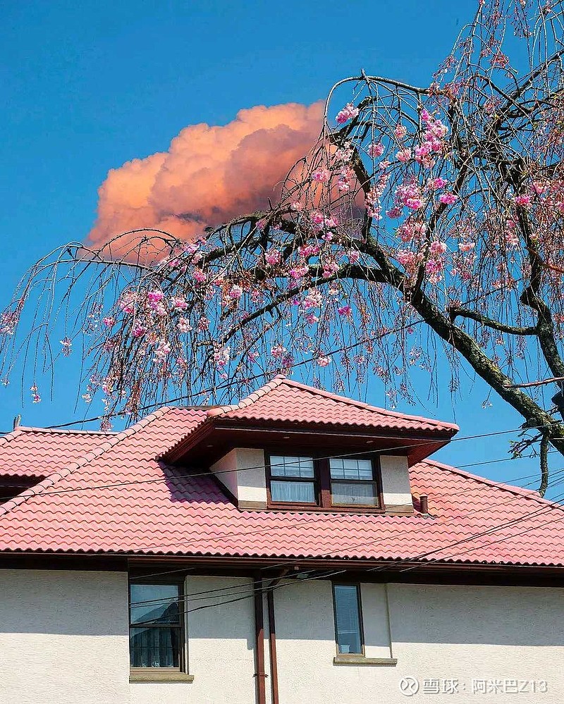 1881个城市命运即将变迁！限