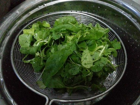 啥时候种小白菜合适 1429f9852c6343fefc05bd3b.jpg!custom.jpg