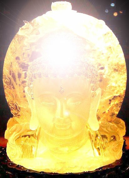 皆是阿鞞跋致。其中多有一生补处。其数甚多。