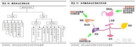 糖尿病的發病涉及到糖代謝的各個環節,發病機制仍不明確,發病學說紛紜