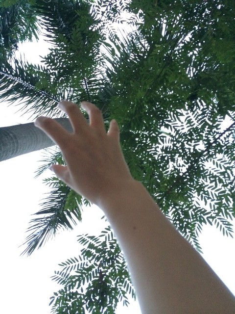 木木木林森林:话说雪球币有何用处