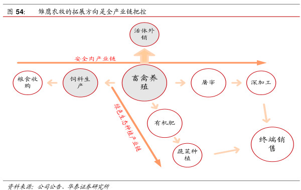 中国农业人口数量_14亿人口腹之欲和中国农业产量之谜探讨(2)