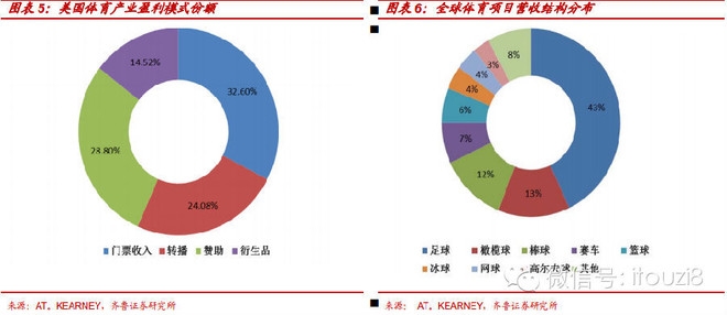 体育人口类型_人口金字塔的三种类型(3)