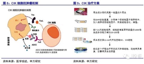 彼岸蔷薇cindy: 肿瘤细胞免疫治疗主要包括四大