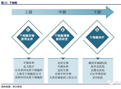 彼岸蔷薇cindy: 肿瘤细胞免疫治疗主要包括四大