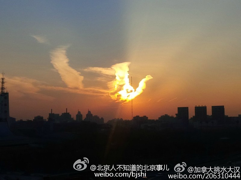 北京天象祥瑞之兆:凤还巢 今天下午16:30分左右,北京天空出现火凤凰