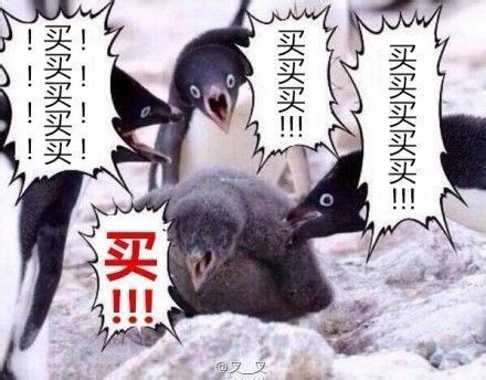 许哲: 大白话说期权,除了买涨买跌,我们还能怎么