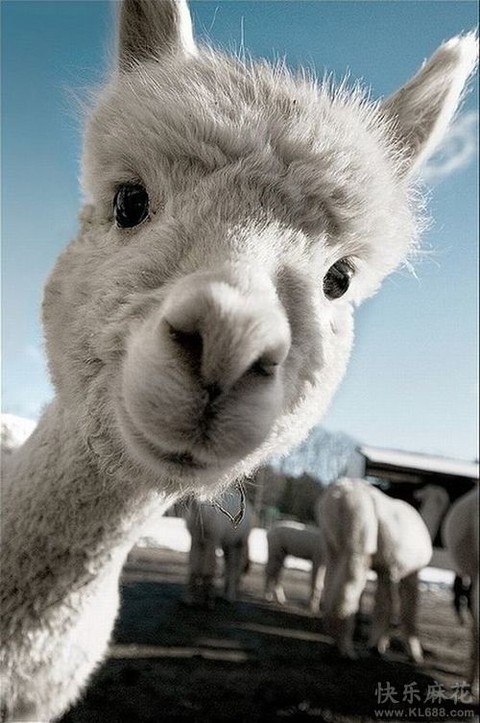 展开 $闰土股份(sz002440)$ 我只想说.