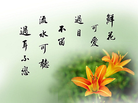 随缘惜缘不攀缘