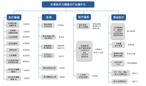 各子公司董事,國家心臟病植介入診療器械及設備工程技術研究中心主任