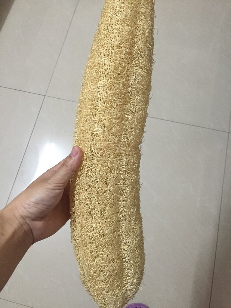 丝瓜囊. 秒杀各类洗碗布.估计这里的人都不干家务活吧 - 雪球