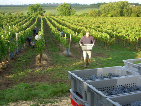 阳光加雨露 14ff4d946ea21dd3fe475eb9.jpg!custom.jpg