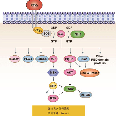 什么是基因测序它可以测出什么 1506b4b86c915c03fd5a2400.gif!custom660.jpg