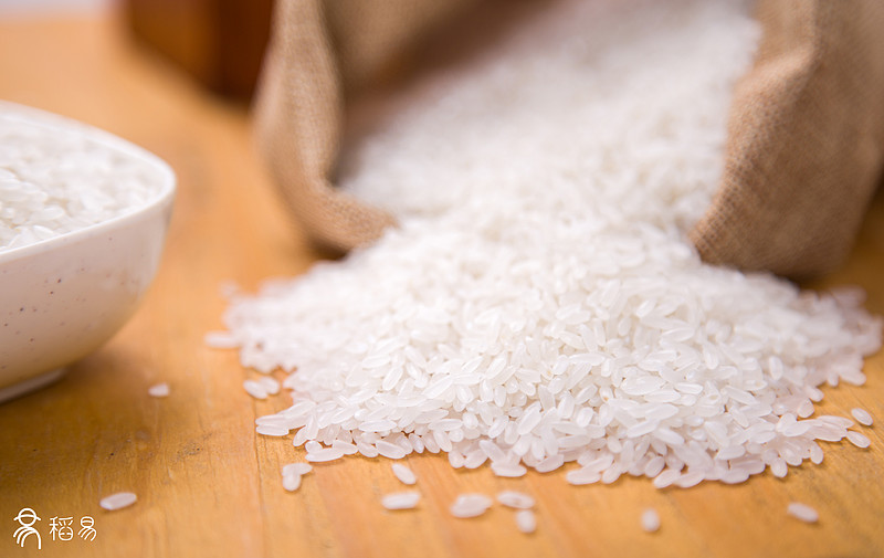 张不等在鱼米之乡苏州长大,在浙大念的专业是智能控制,2013