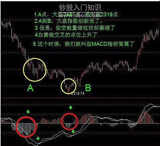 爱游戏- 爱游戏体育- AYX爱游戏体育官方网站冬游四川·司法同行四川法院您的旅行好搭子（一）