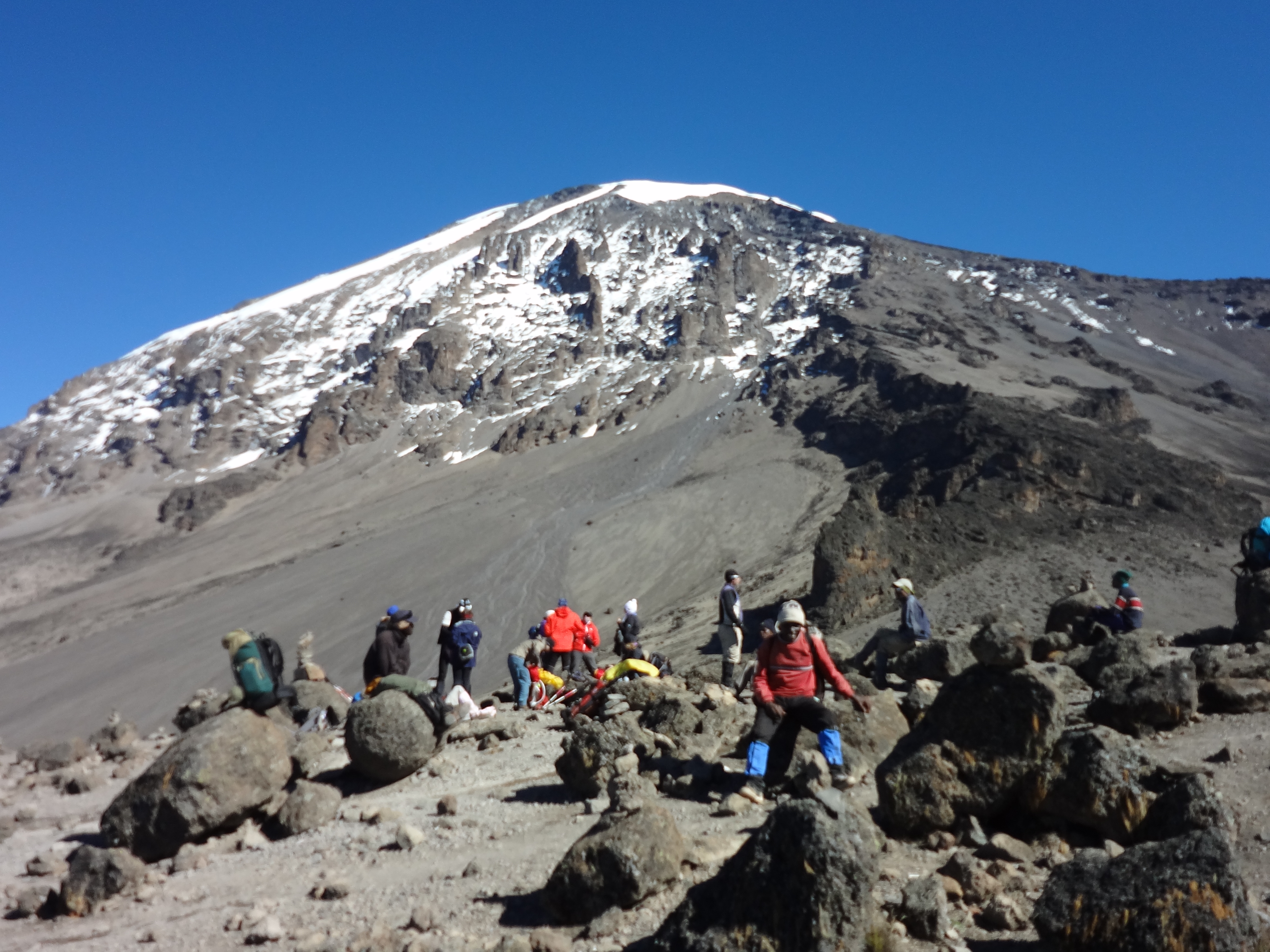 乞力马扎罗山巅,冻僵的雪豹已不在
