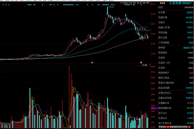 vie结构_vie结构下收入确认