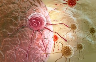 Cancer Res:多肽药物解除蛋白相互作用抑制癌