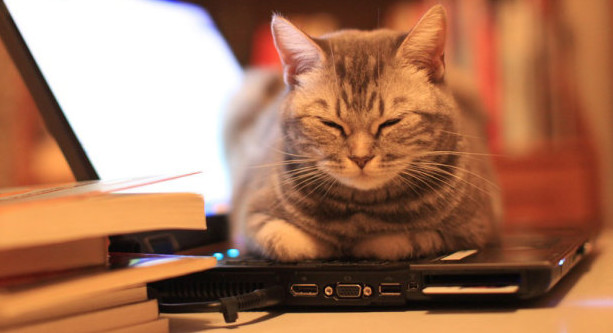 jackson753951: 逗比股票小记(6) 好久不见,又是