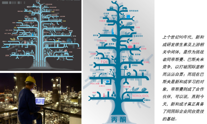 bigfoot0517: 中国维生素产业十年变革文章来源