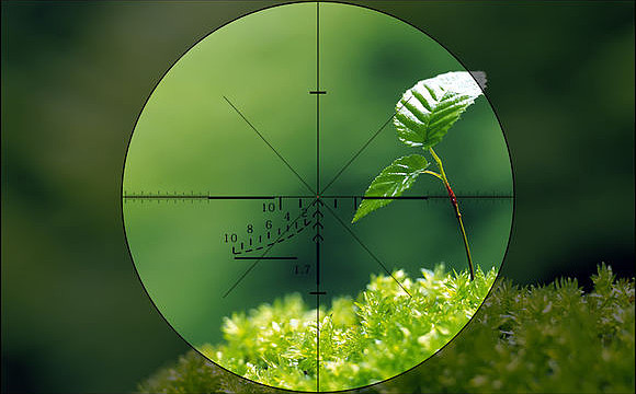 上证指数之缠解33副标题狙击