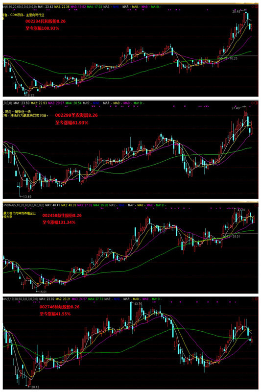为你改变: 15到16反转之禽类产业 从去年8.26两