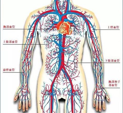 Volition_HH: 重农抑商都是皇家的说法,如果不这